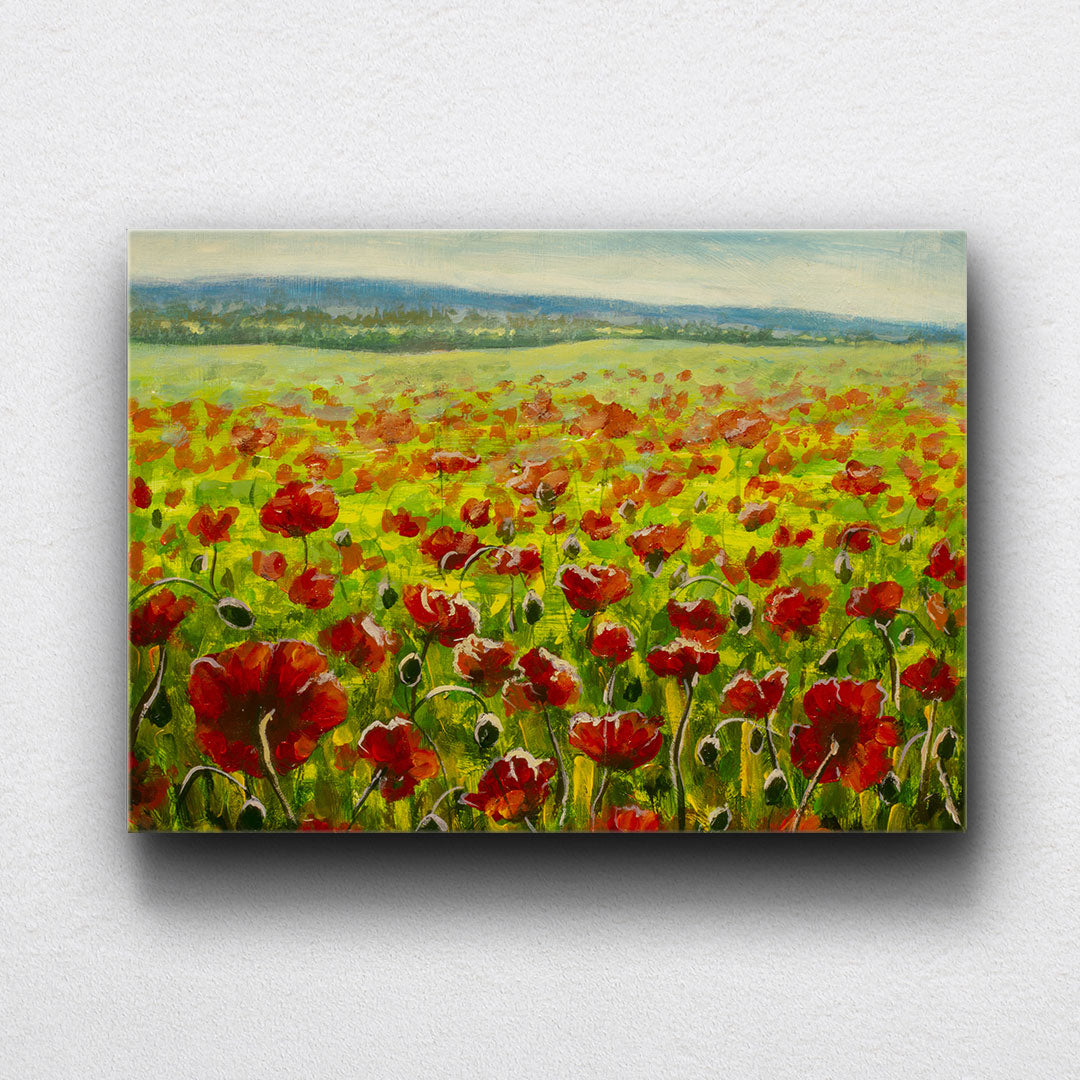 A Field Of Poppies Canvas Sets