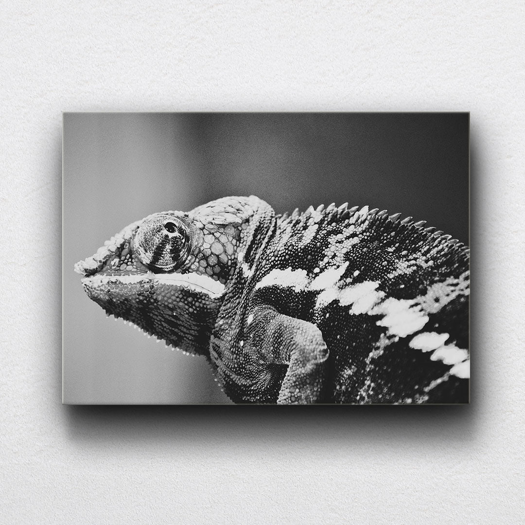 BW Chameleon Canvas Sets