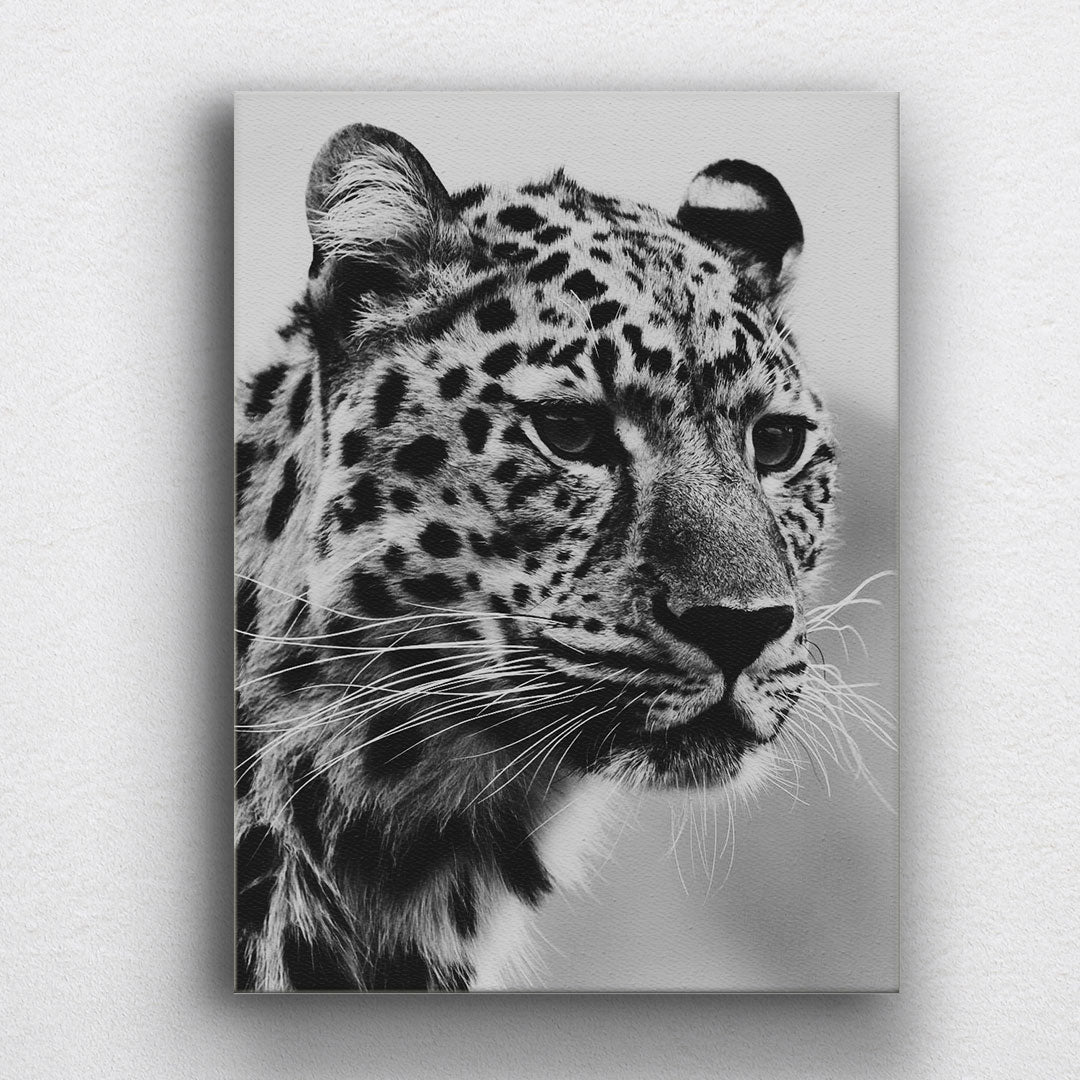 BW Leopard Canvas Sets