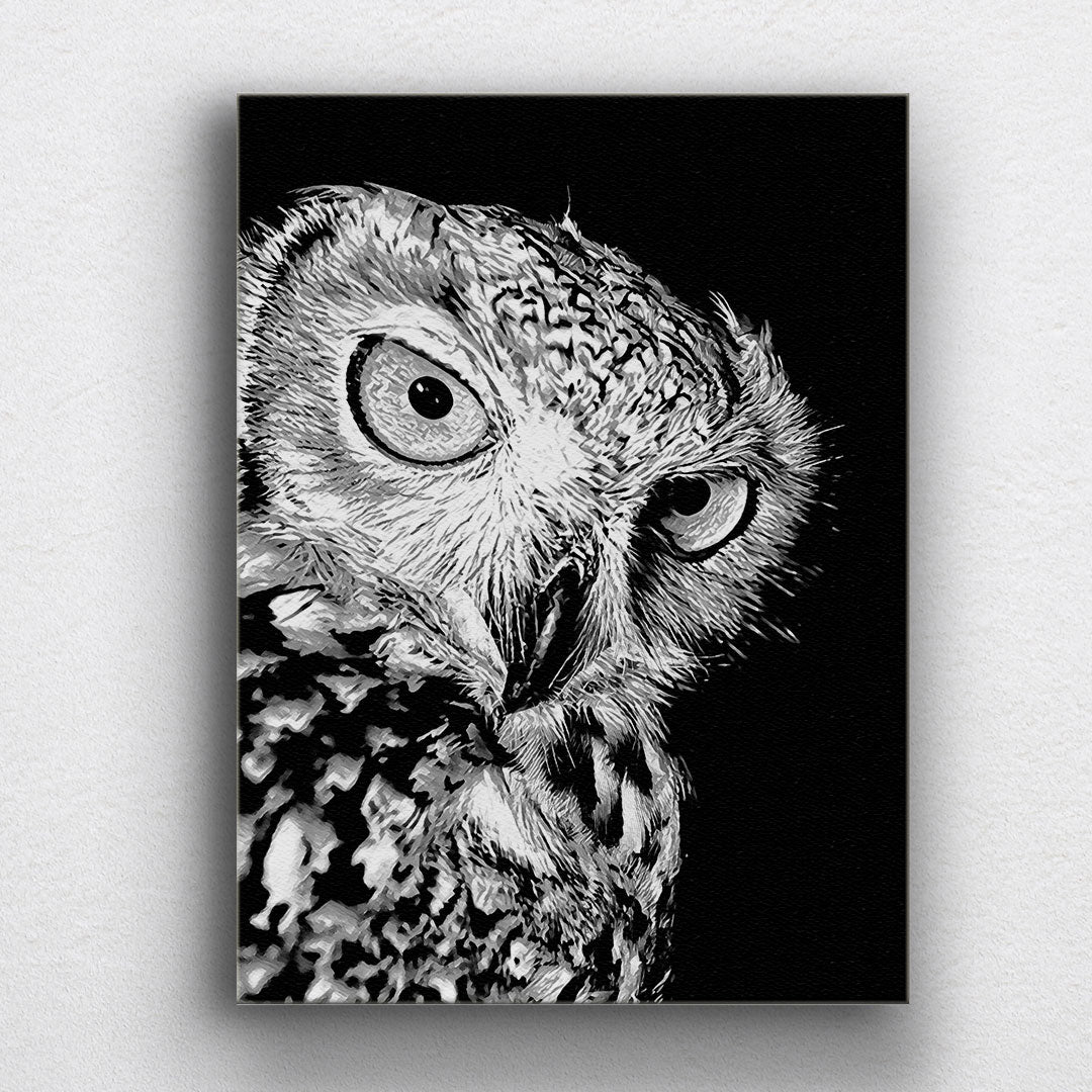 BW Owl Canvas Sets