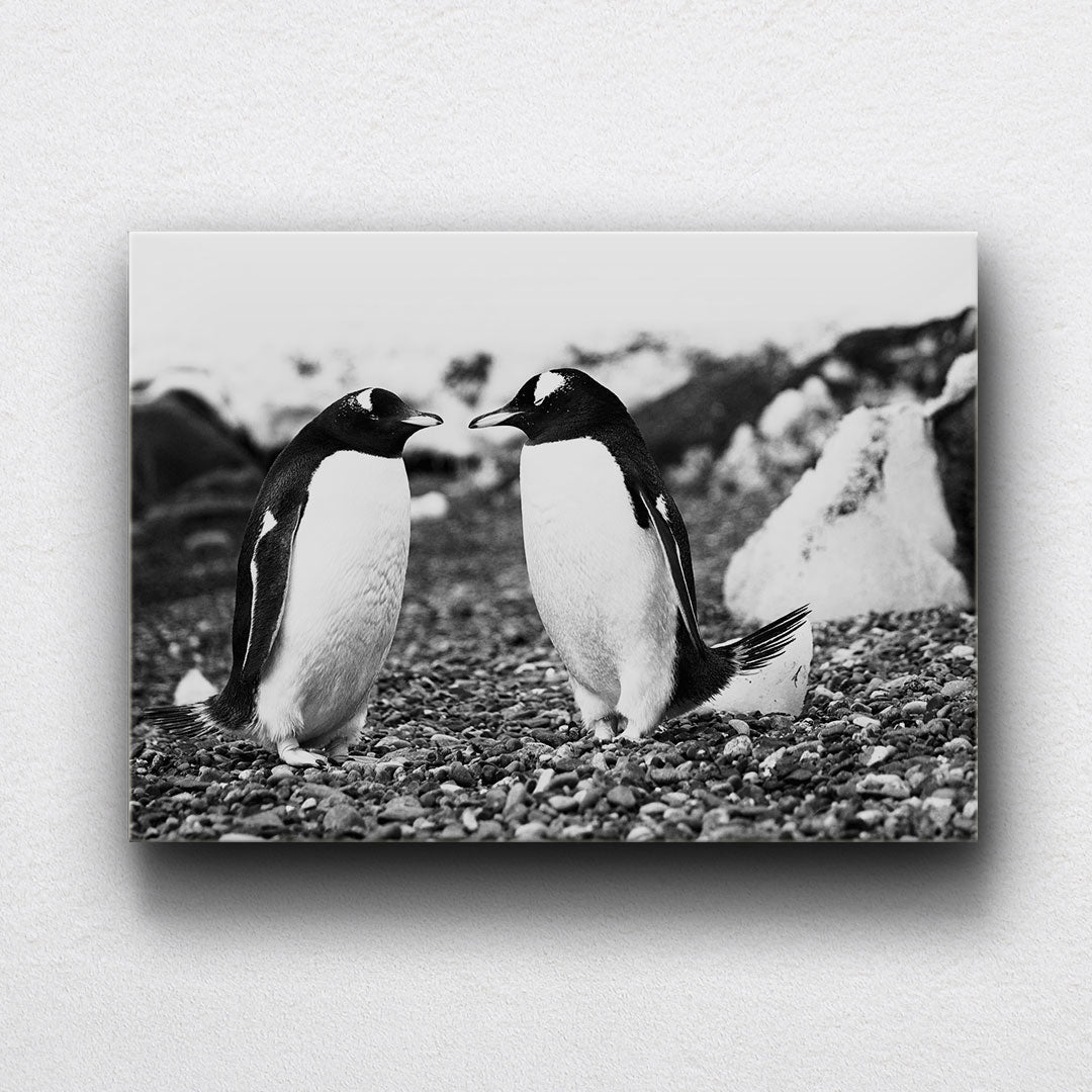 BW Penguin Friends Canvas Sets
