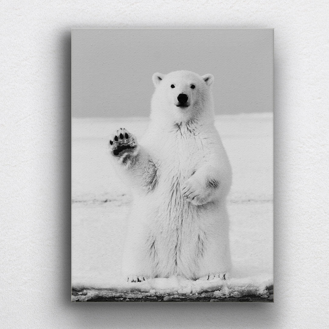 BW Polar Bear Wave Canvas Sets