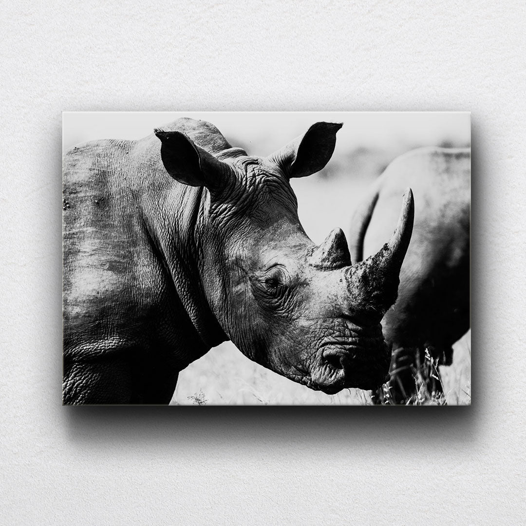 BW Rhino Canvas Sets