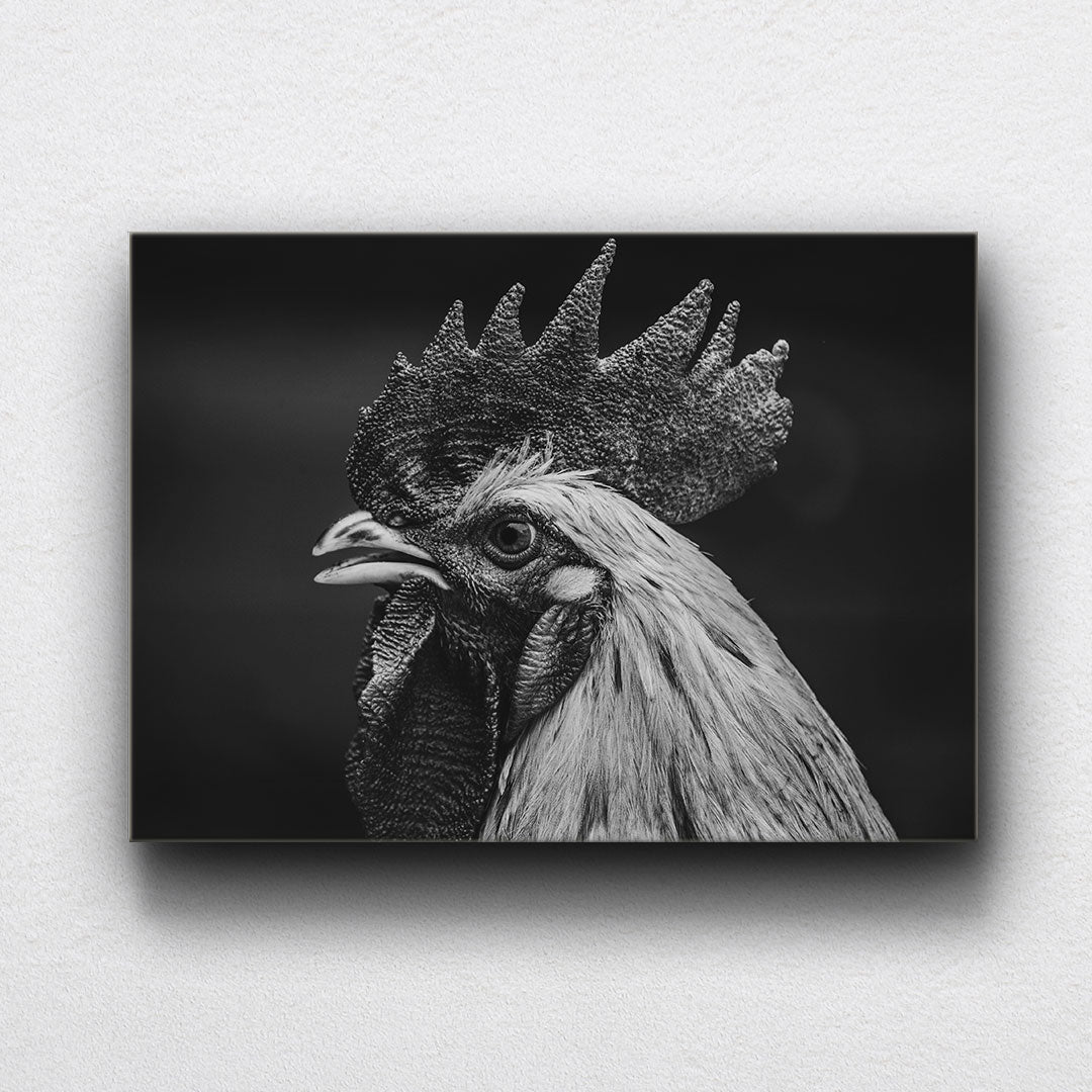 BW Rooster Canvas Sets