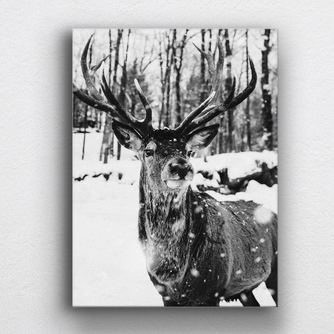 BW Snow Deer Canvas Sets