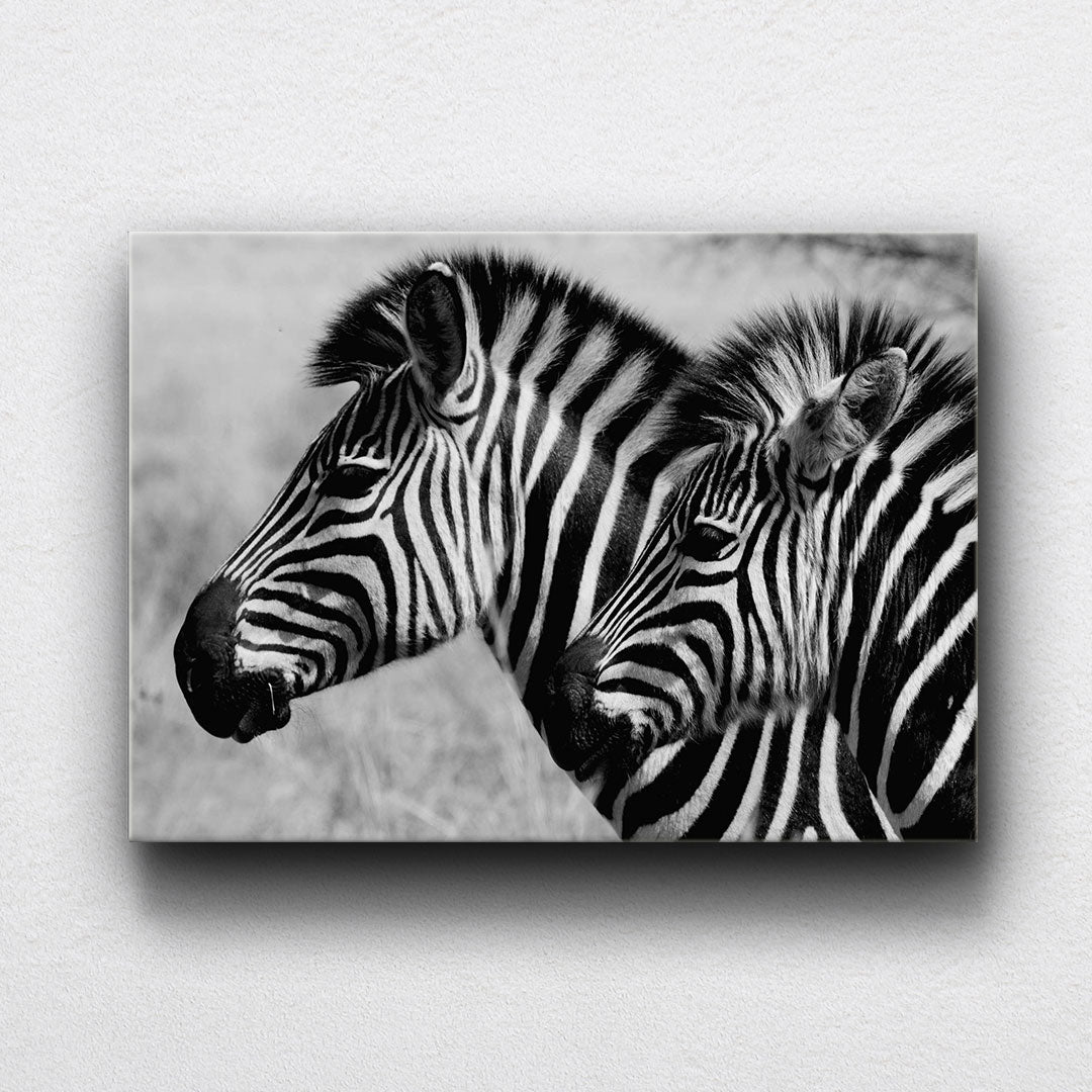 BW Zebra Canvas Sets