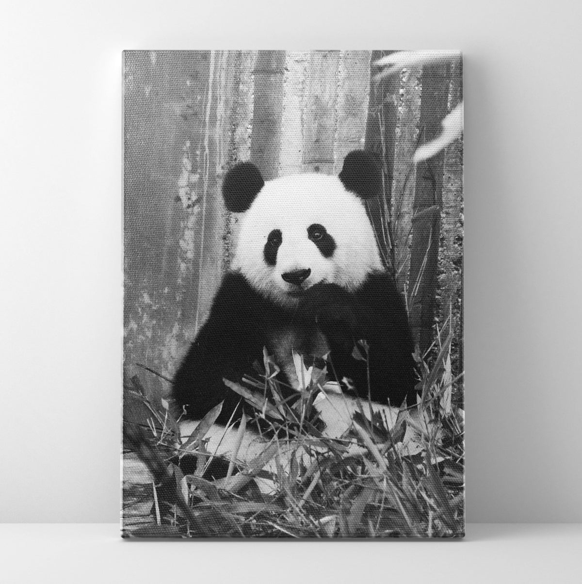 B/W Panda Prints | Far Out Art 
