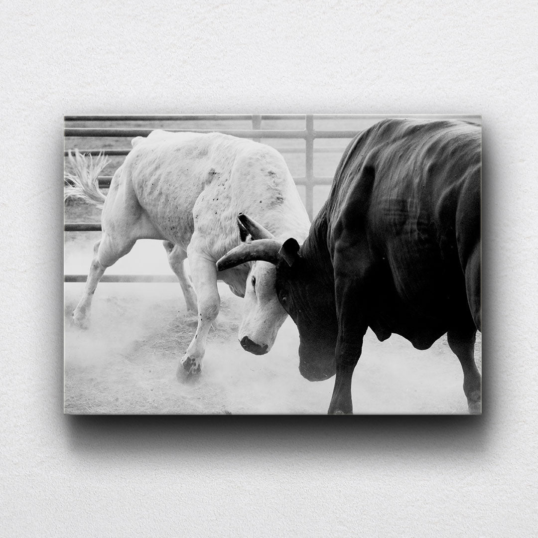 BW Bull Fight Canvas Sets