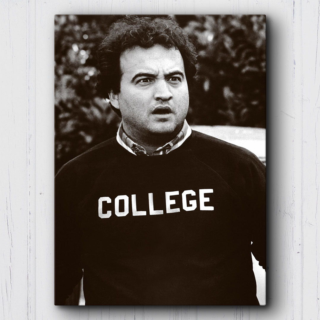 Animal House College Canvas Sets