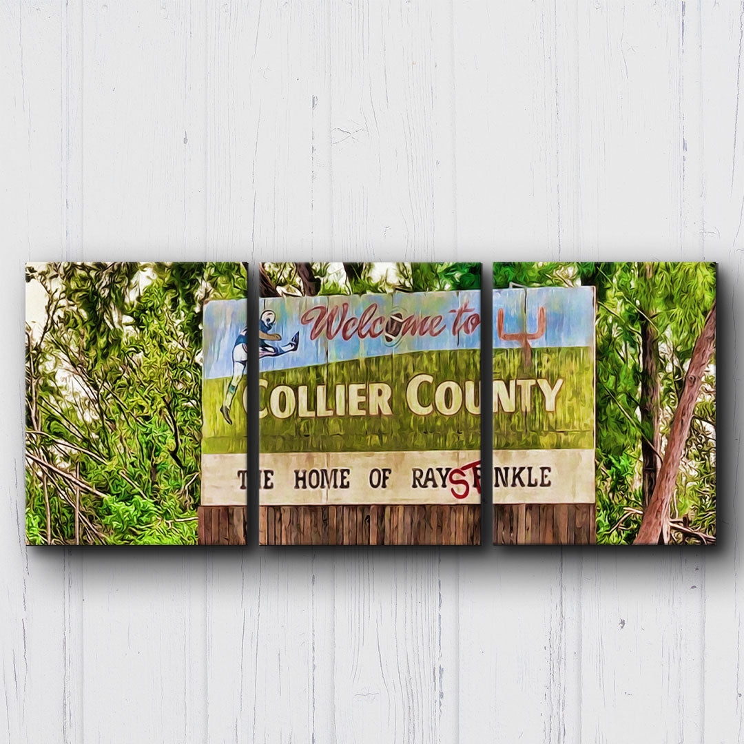 Ace Ventura Collier County Canvas Sets