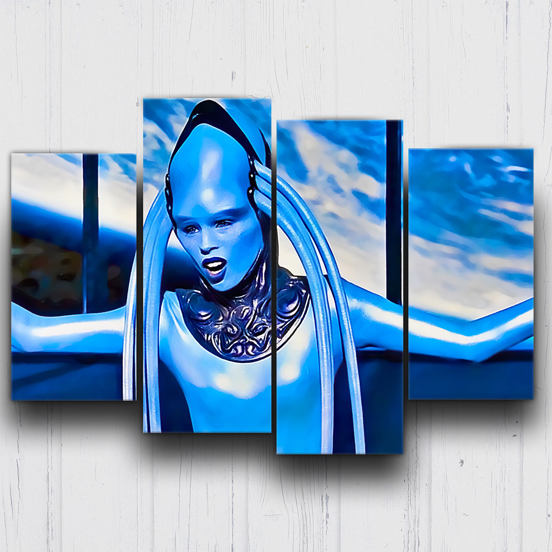 The Fifth Element Diva Canvas Sets