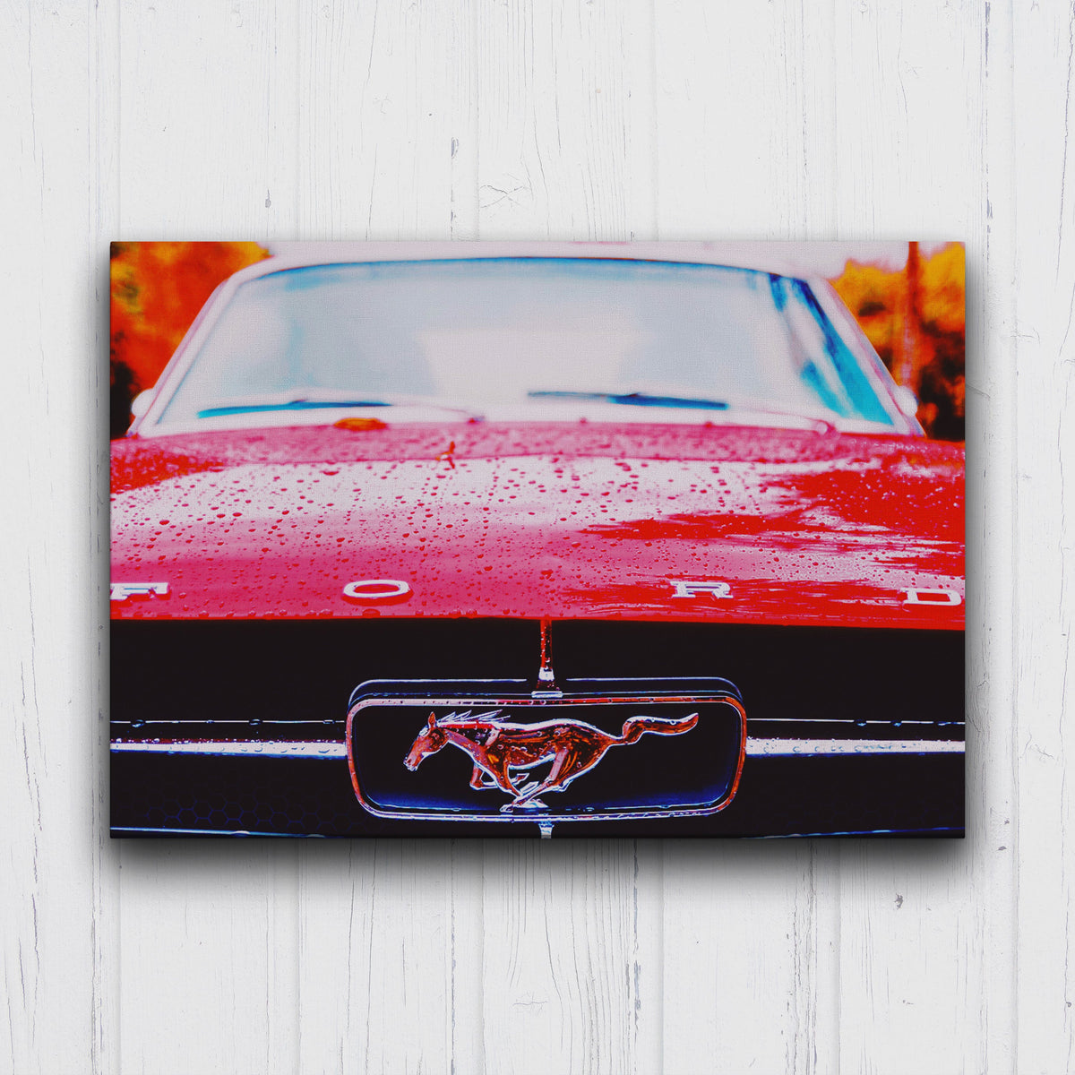 Mustang Grill Canvas Sets