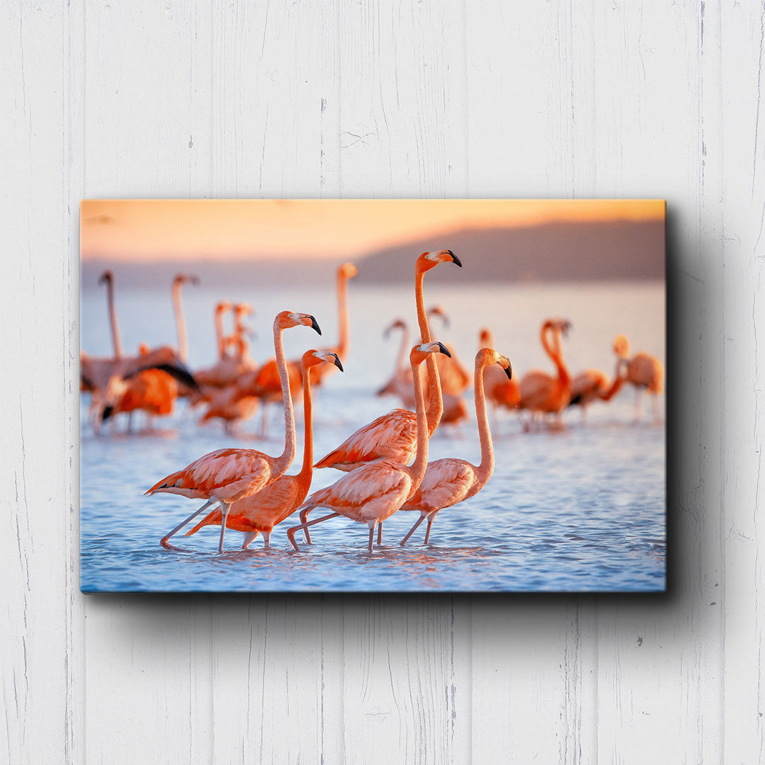 Flamingos At Sunset Canvas Sets