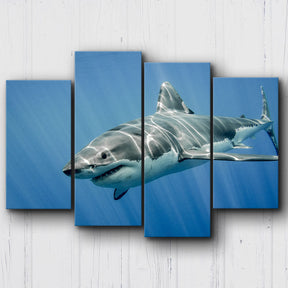 Great White Canvas Sets