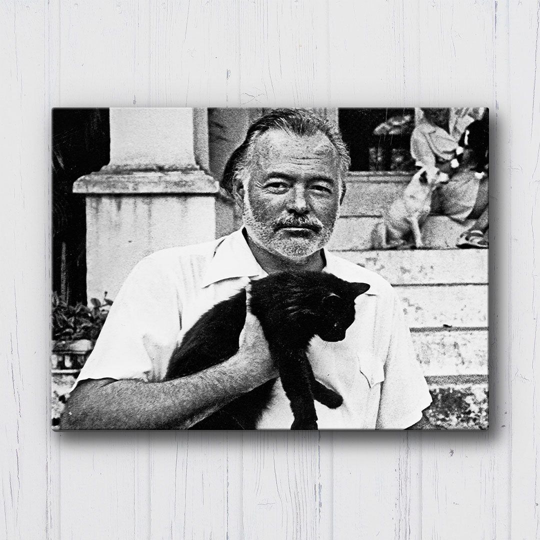 Hemingway Cat Canvas Sets