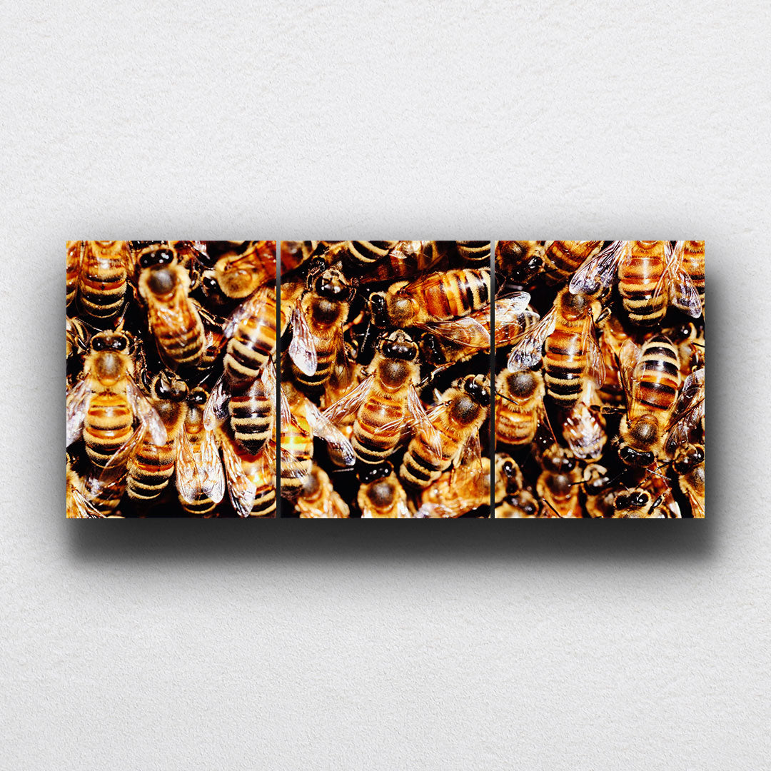 Honeybee Hive Canvas Sets