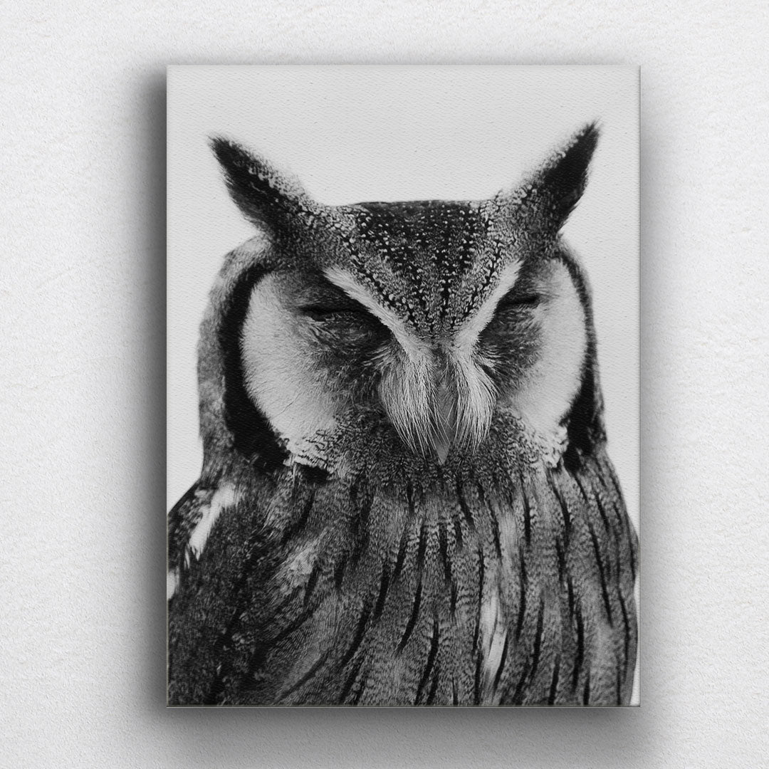 BW Horned Owl Canvas Sets
