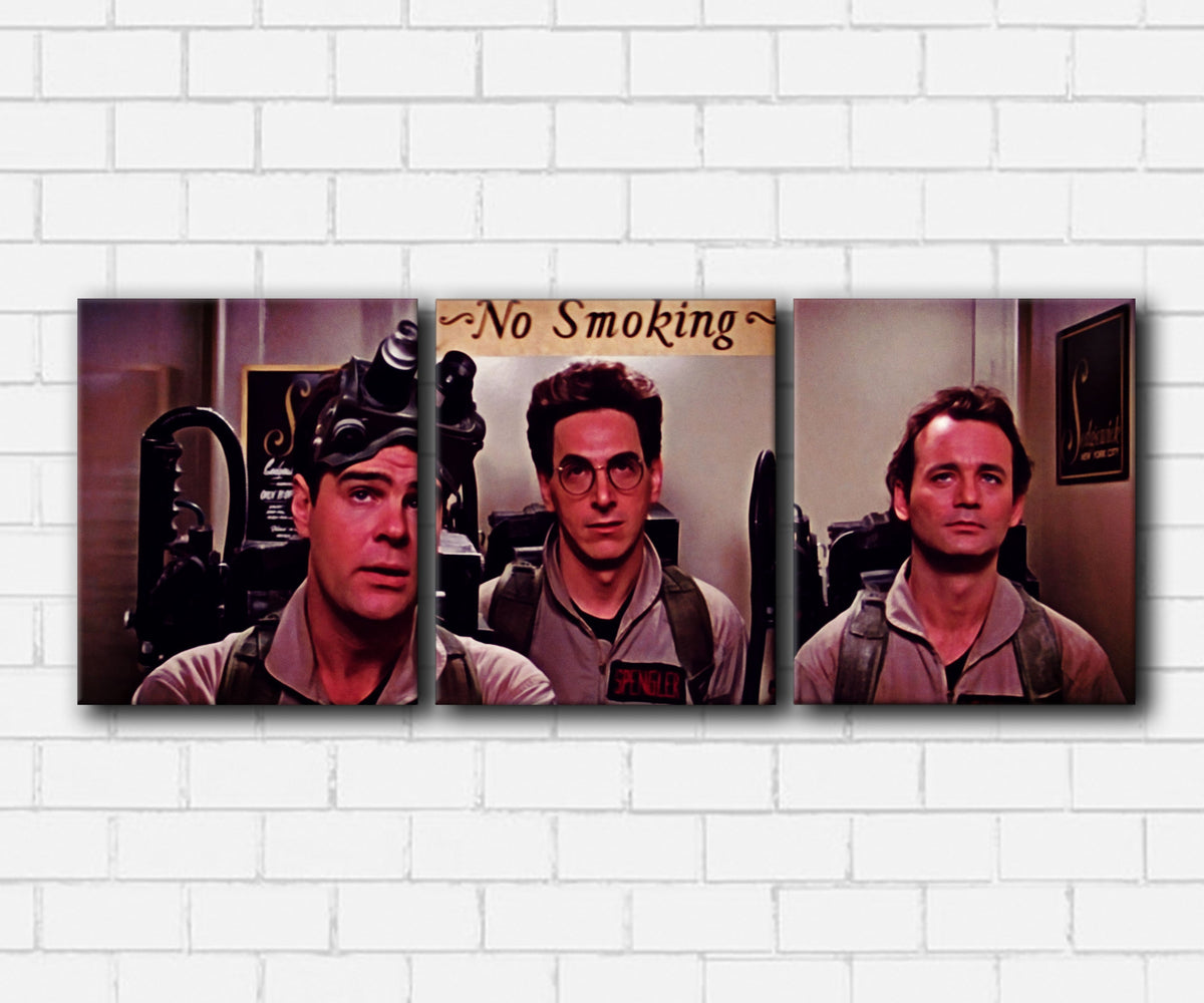 1984 Ghostbusters I Blame Myself Canvas Sets