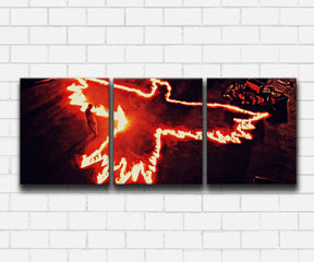 The Crow In Flames Canvas Sets