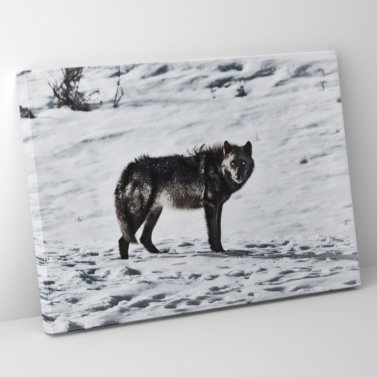 Lone Wolf Prints | Far Out Art 