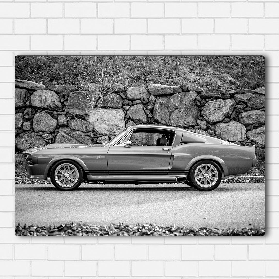 Mustang Fastback Canvas Sets