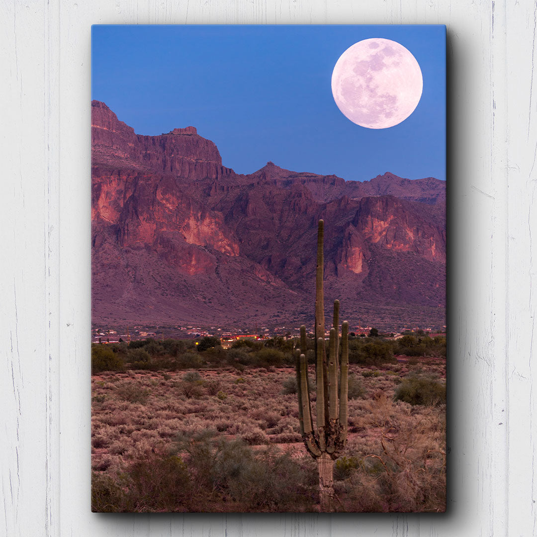 N. Idaho Rd. Cactus & Moon Canvas Sets