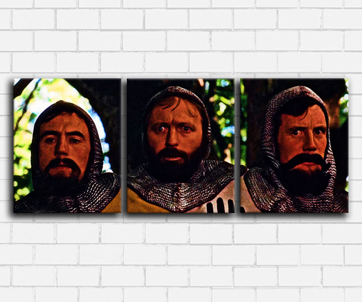 Monty Pythons Holy Grail Not Biscuits Canvas Sets
