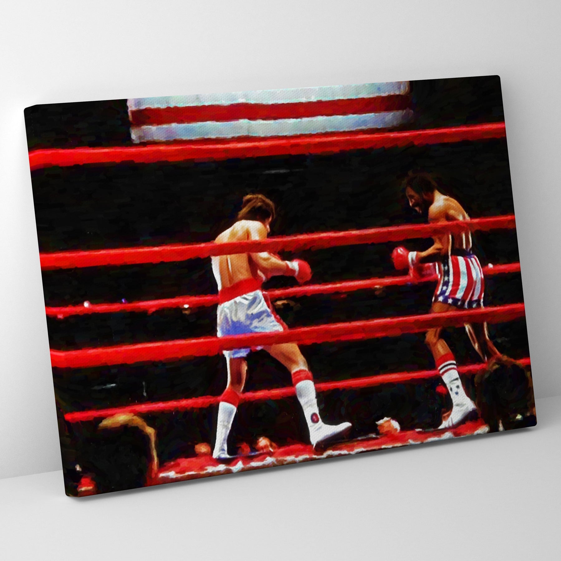 Vinyl Boxing Ring Covers – Professional Quality | TarpsNow