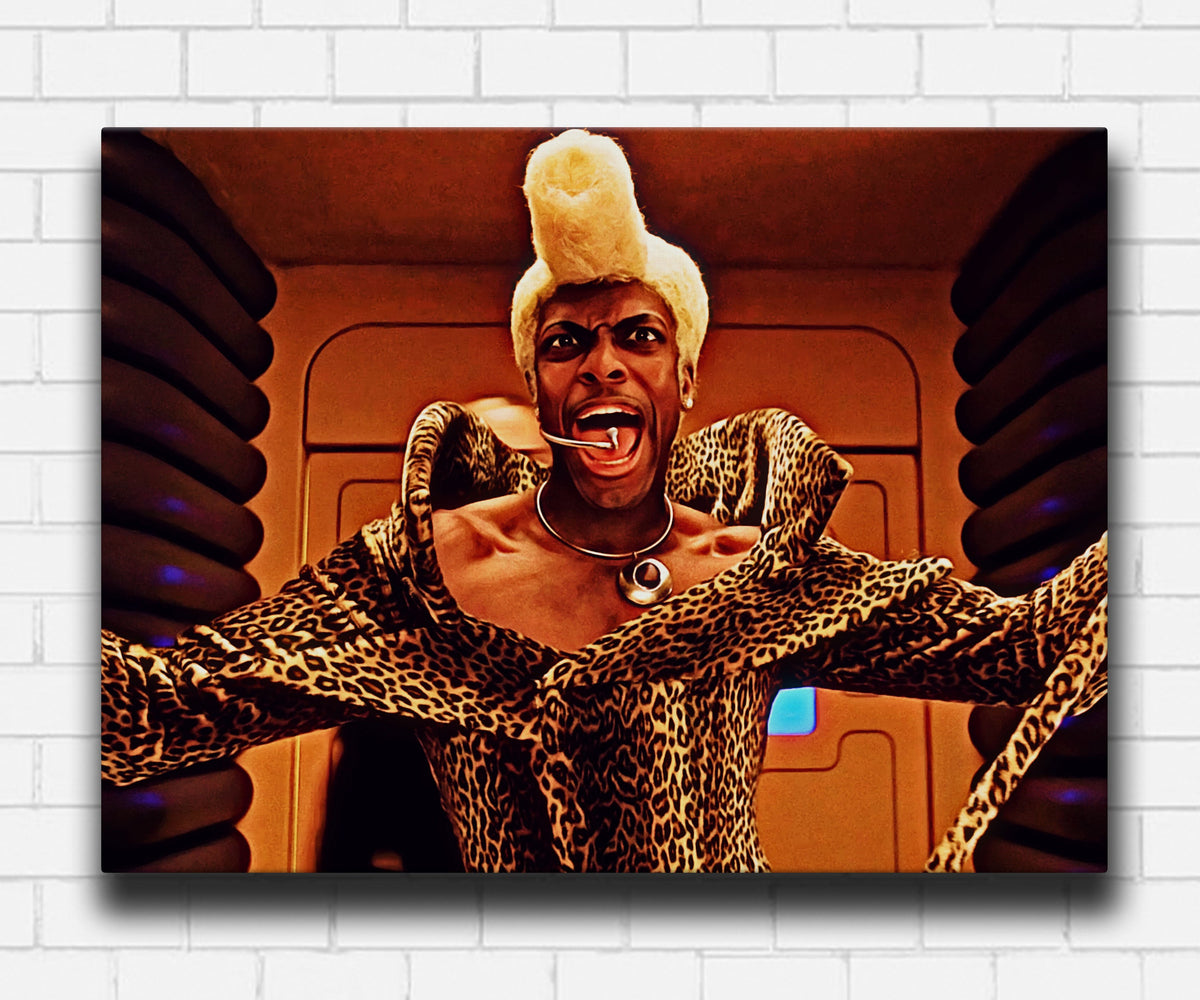 The Fifth Element Ruby Rhod Canvas Sets