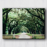 Tallahassee Canopy Canvas Sets