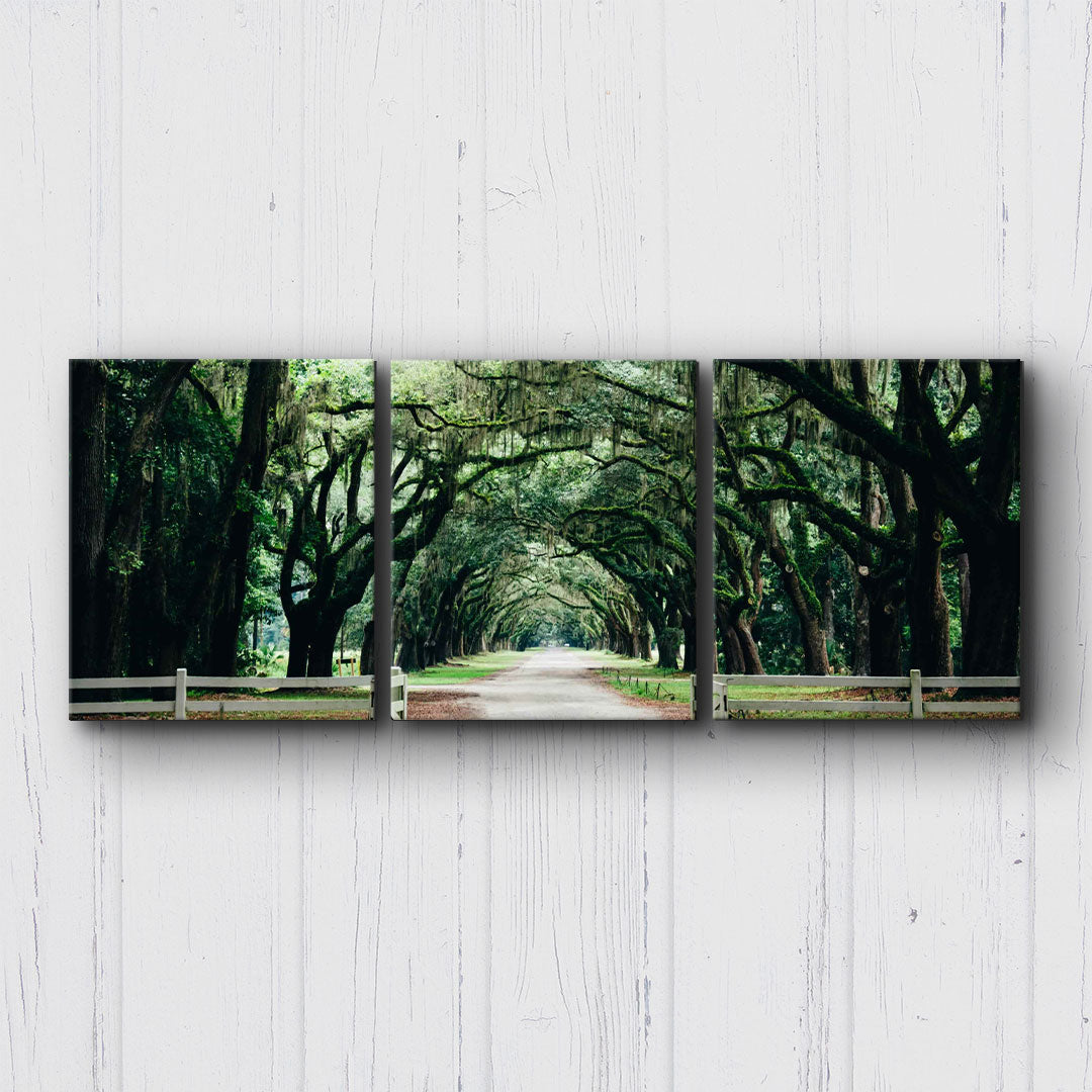 Tallahassee Canopy Canvas Sets