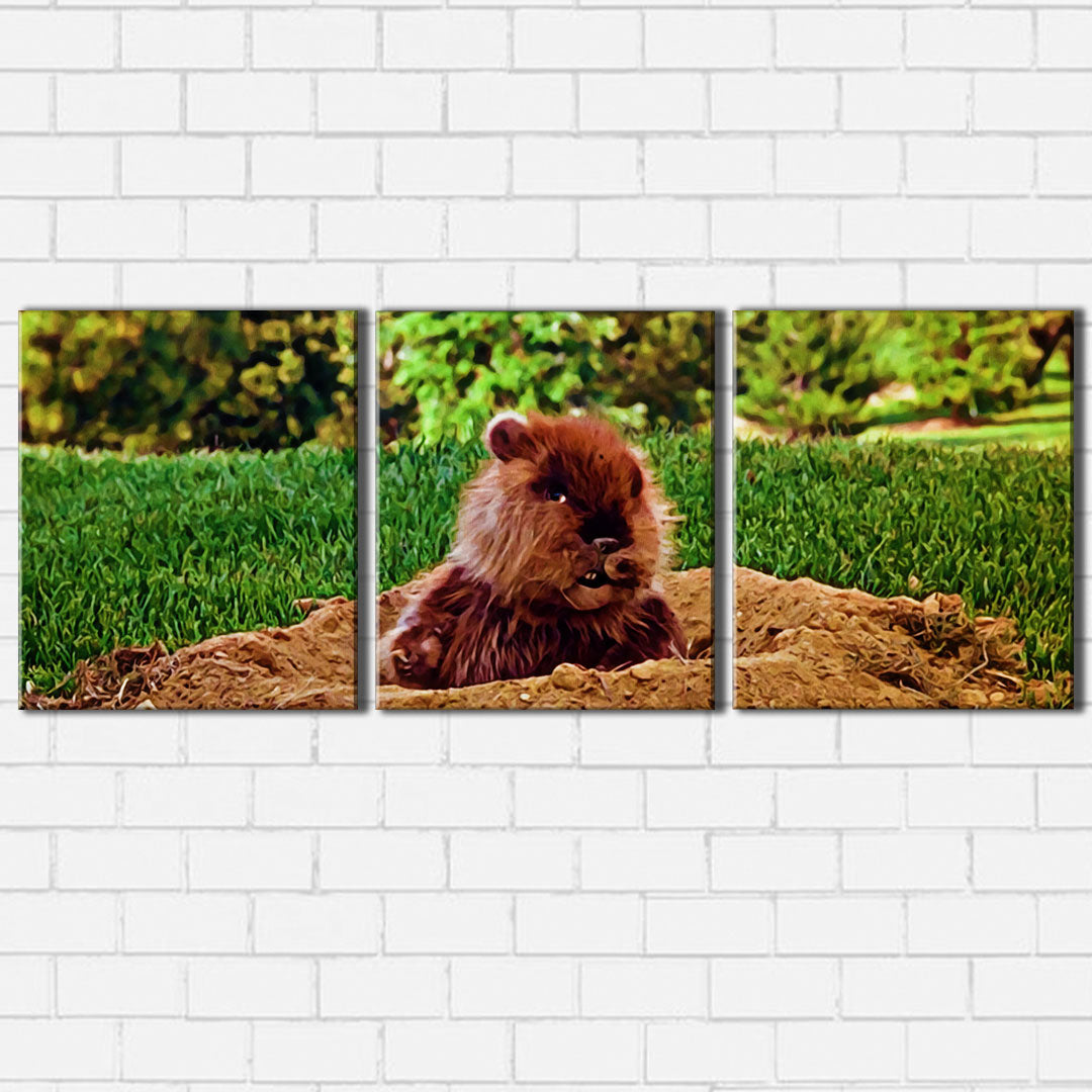 Caddyshack The Gopher Canvas Sets