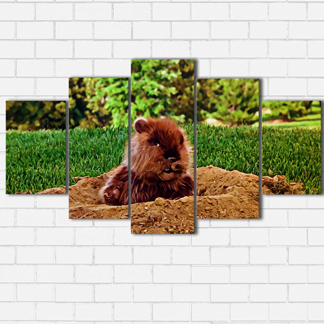 Caddyshack The Gopher Canvas Sets