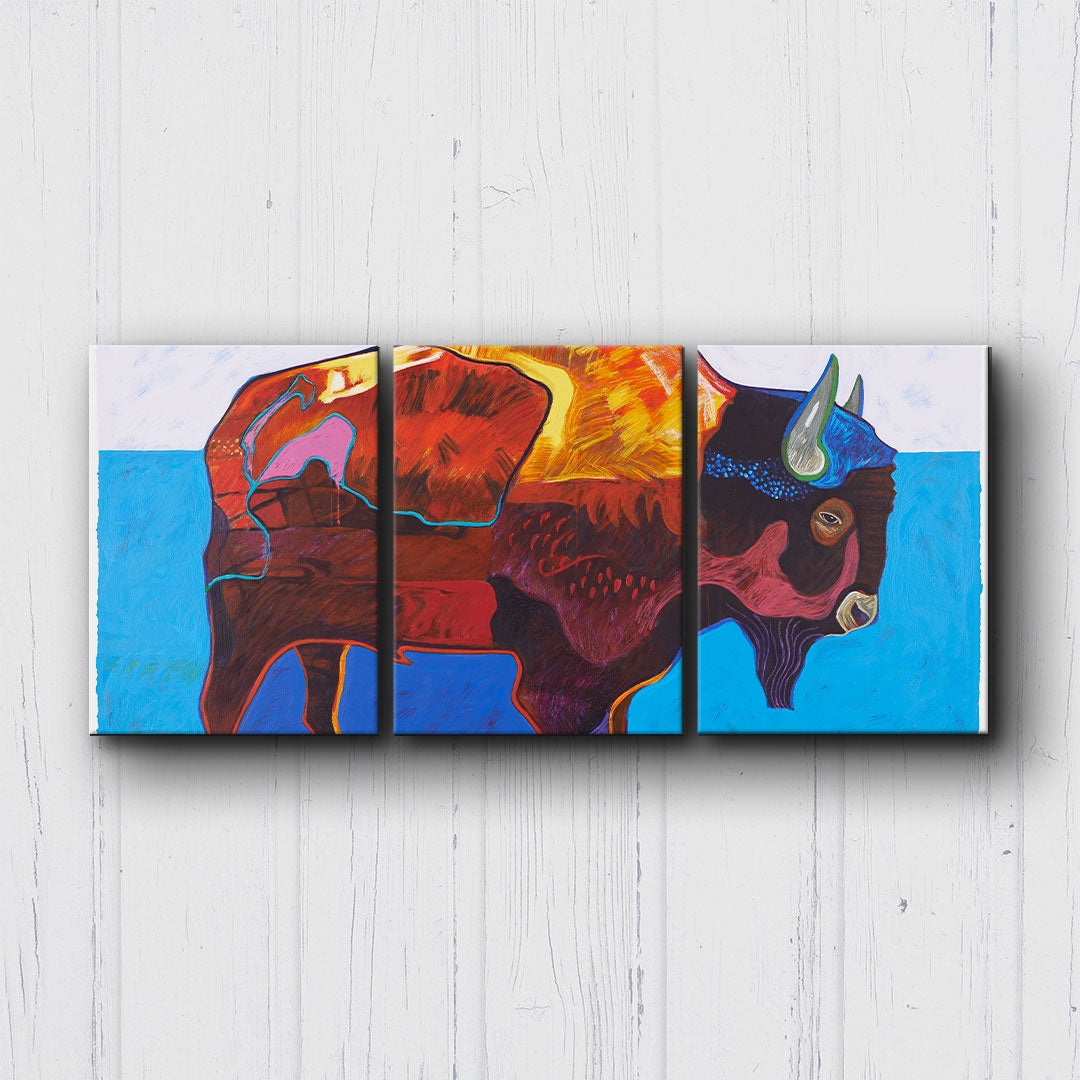 Abstract Buffalo Canvas Sets