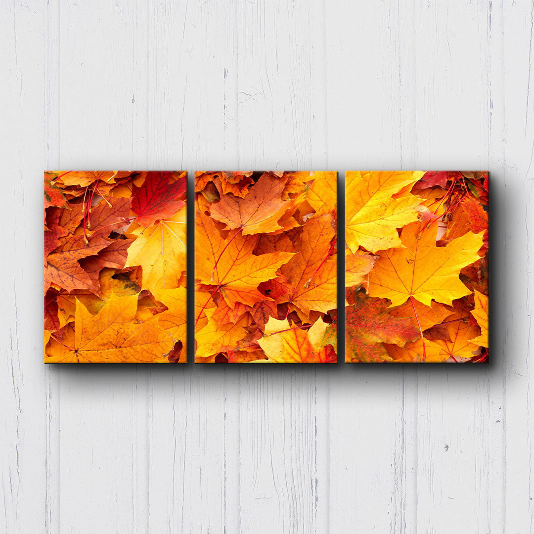 Autumn Leaves Canvas Sets