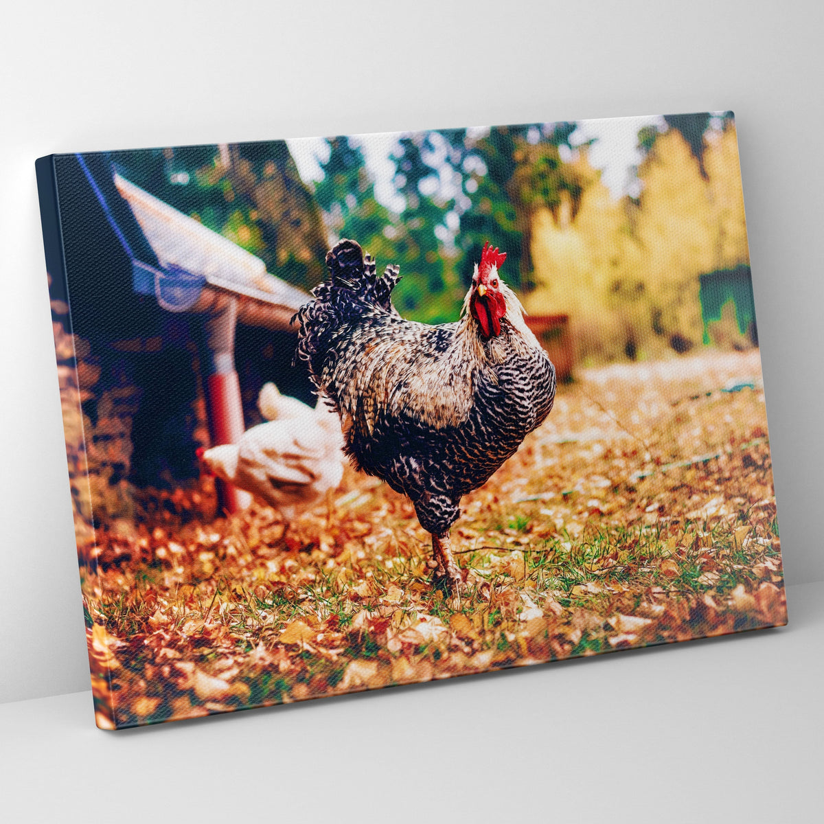Autumn Rooster Prints | Far Out Art 