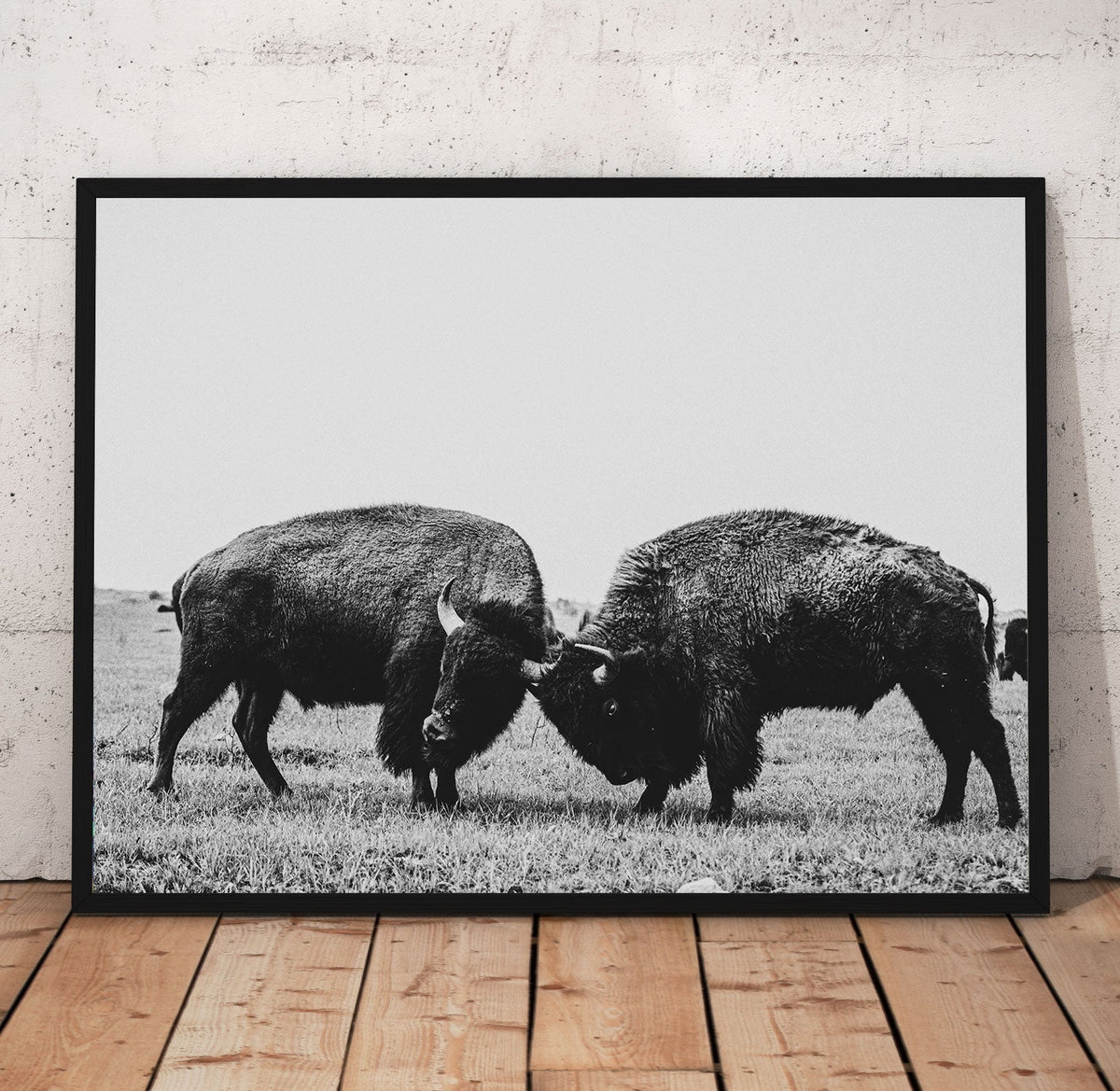 Battling Buffalo Prints | Far Out Art 