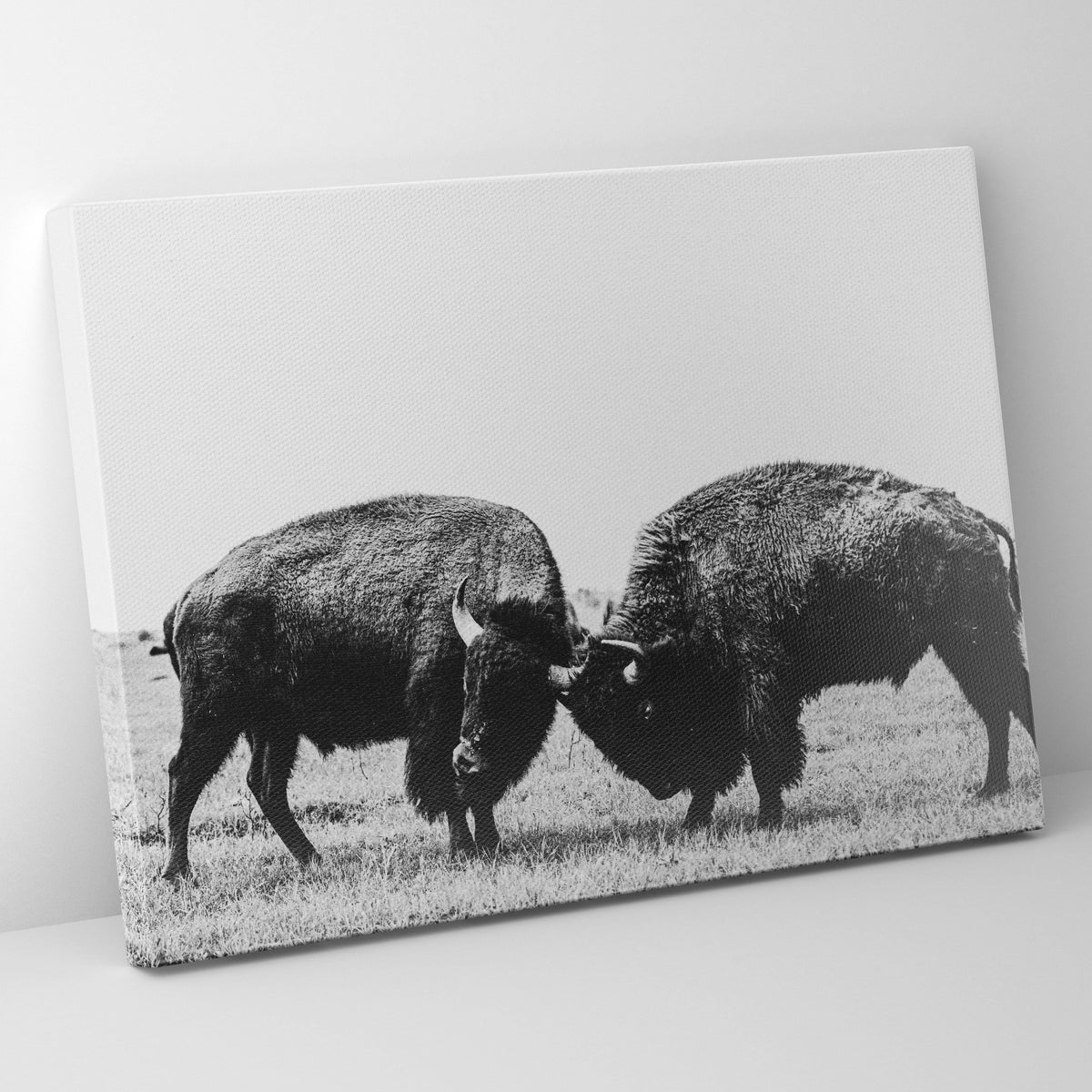 Battling Buffalo Prints | Far Out Art 