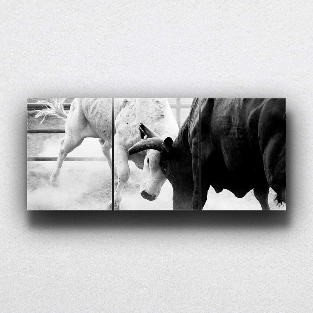 BW Bull Fight Canvas Sets