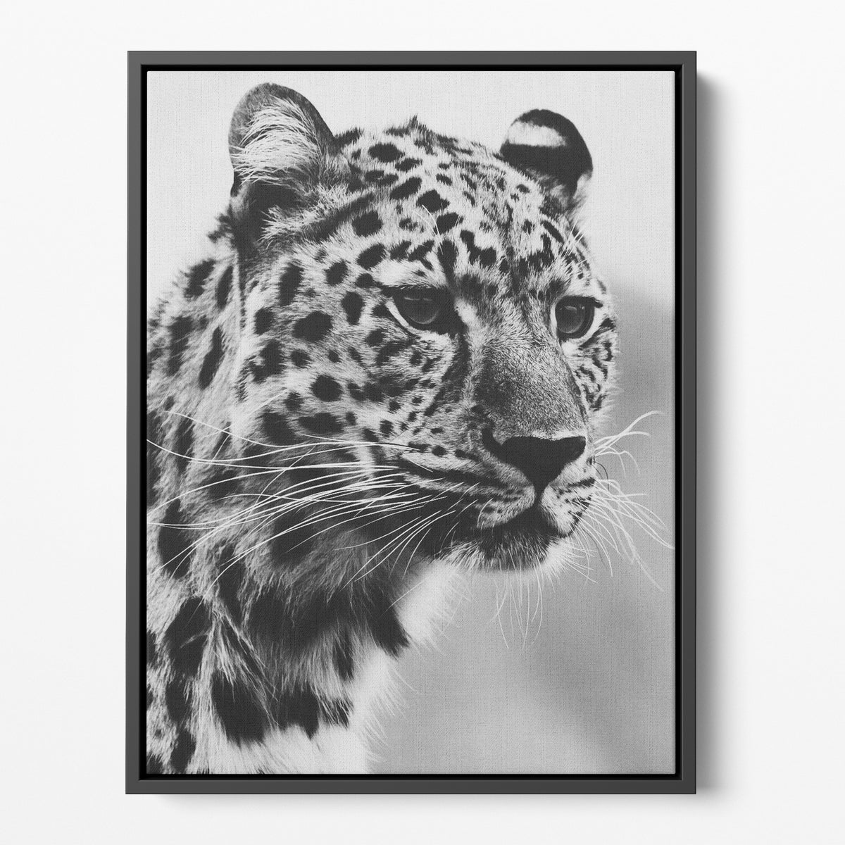 B/W Cheetah Prints | Far Out Art 