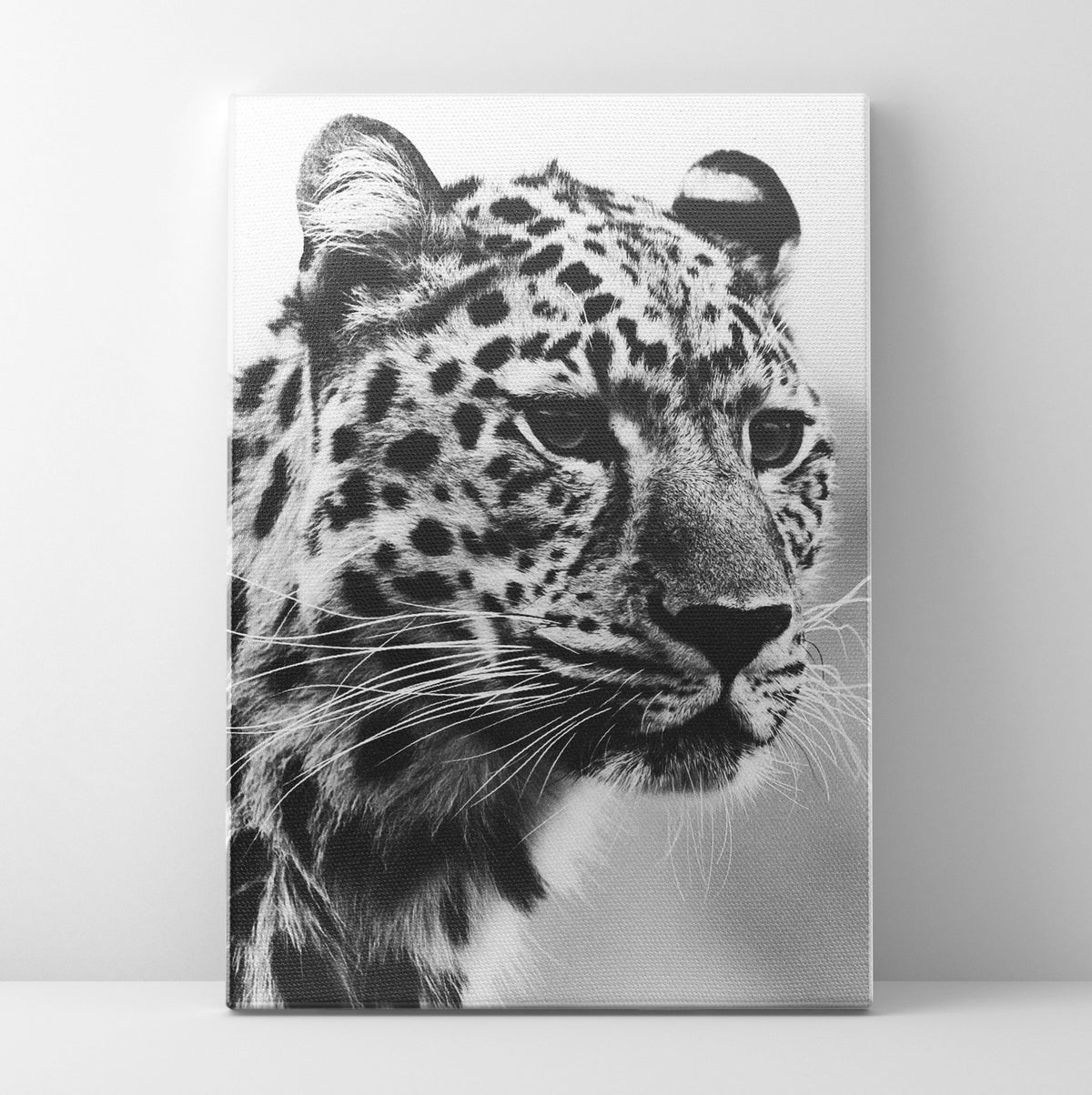 B/W Cheetah Prints | Far Out Art 