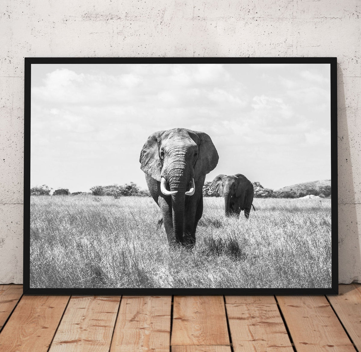 B/W Elephants Prints | Far Out Art 
