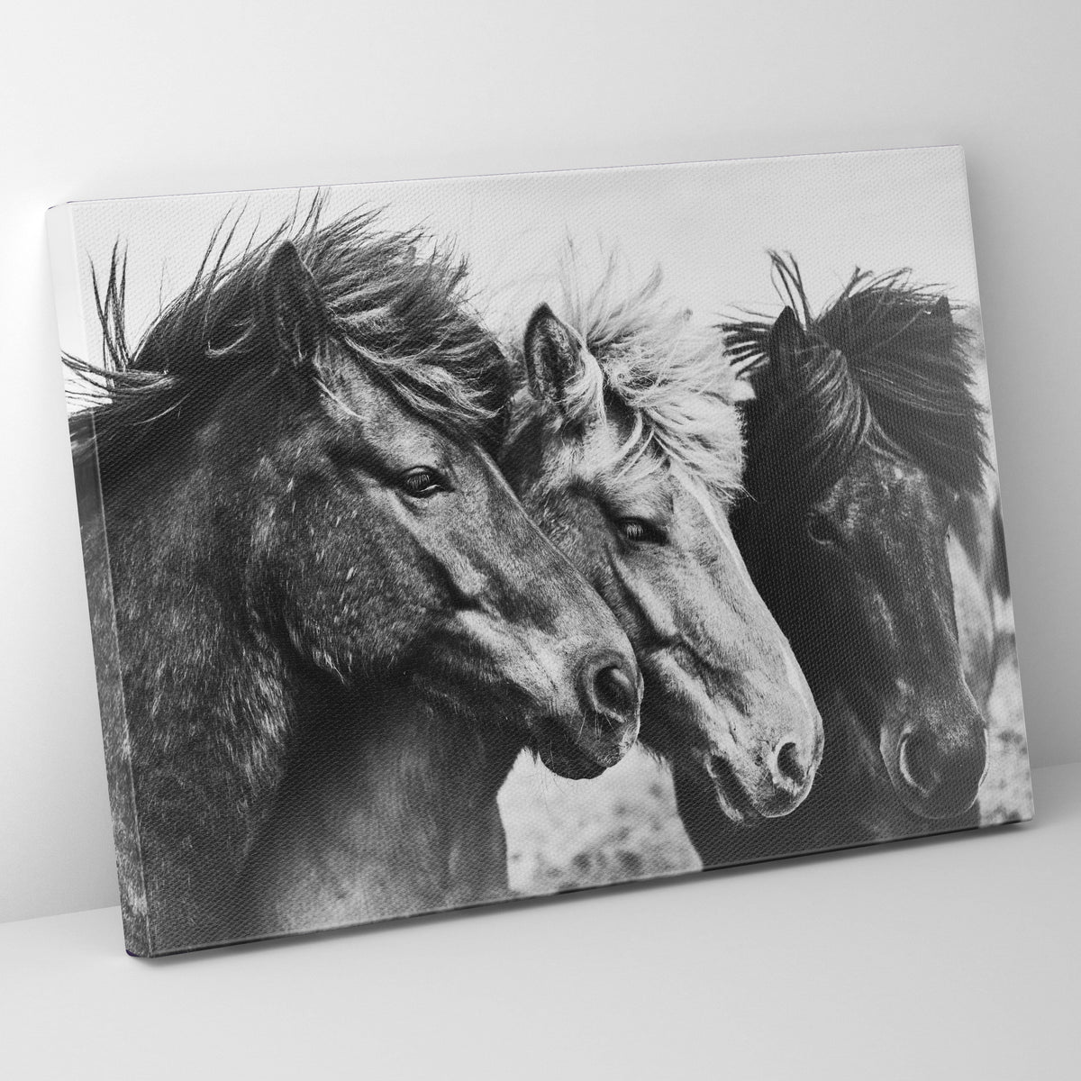 B/W Ponies Prints | Far Out Art 
