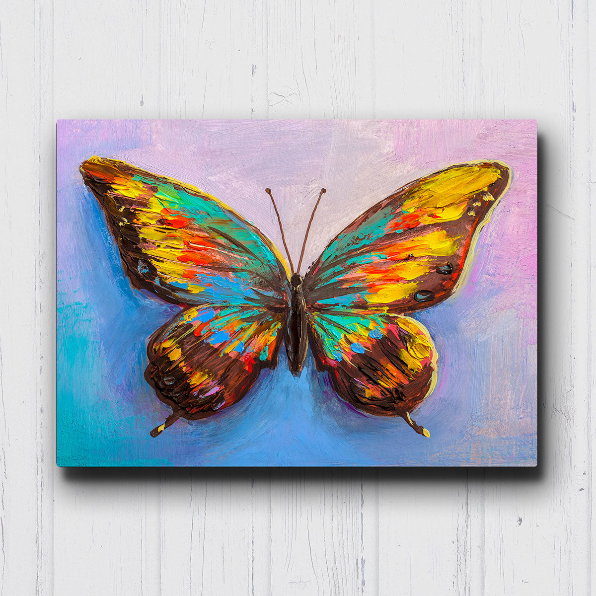 Color Splash Butterfly Canvas Sets