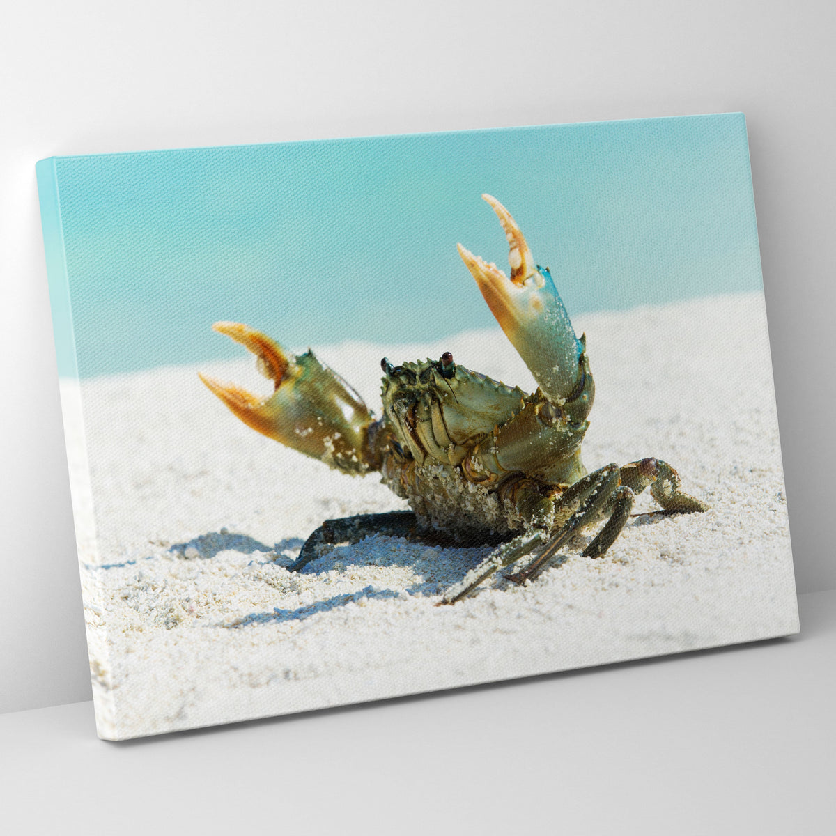 Come At Me Crab Poster/Canvas | Far Out Art 