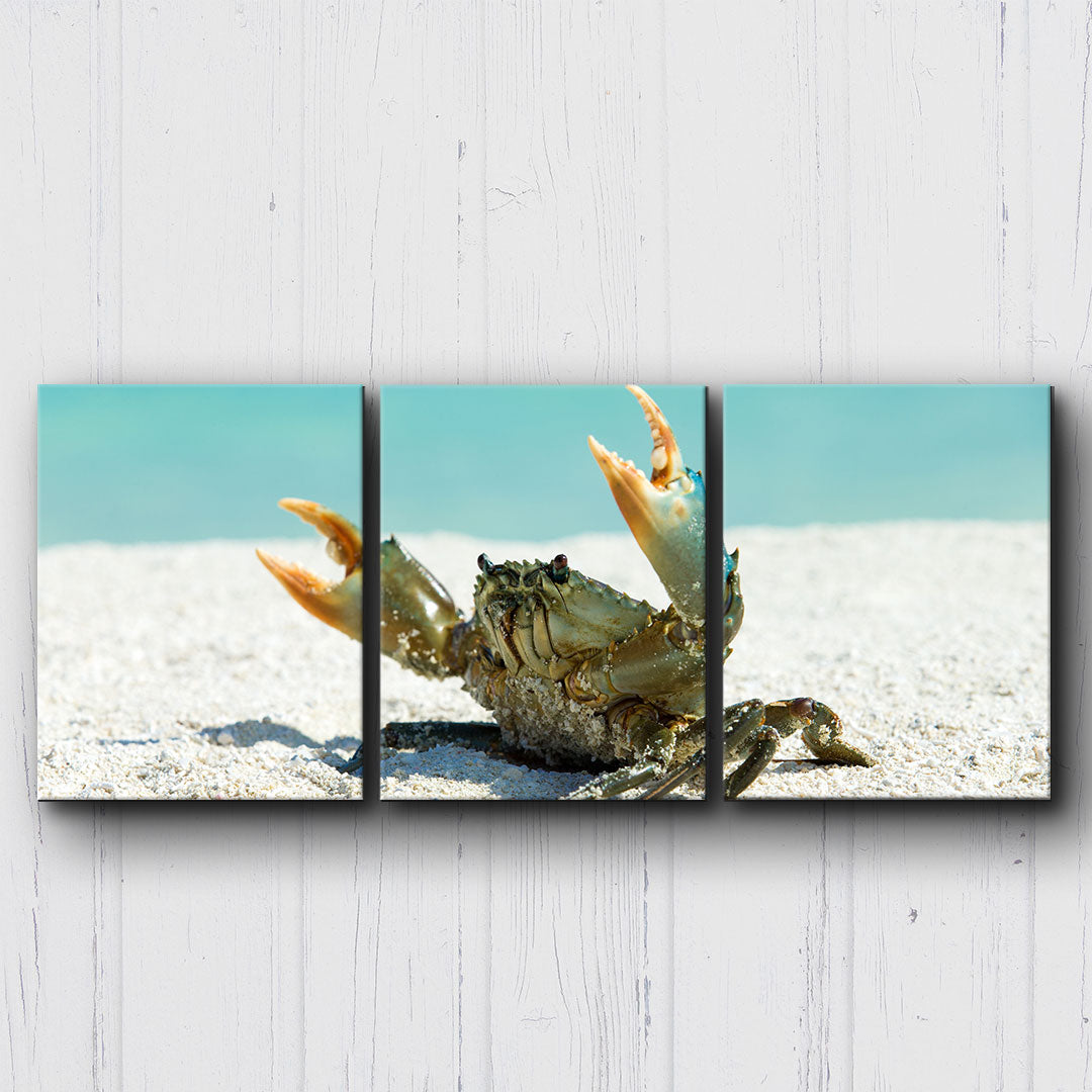 Come At Me Crab Canvas Sets