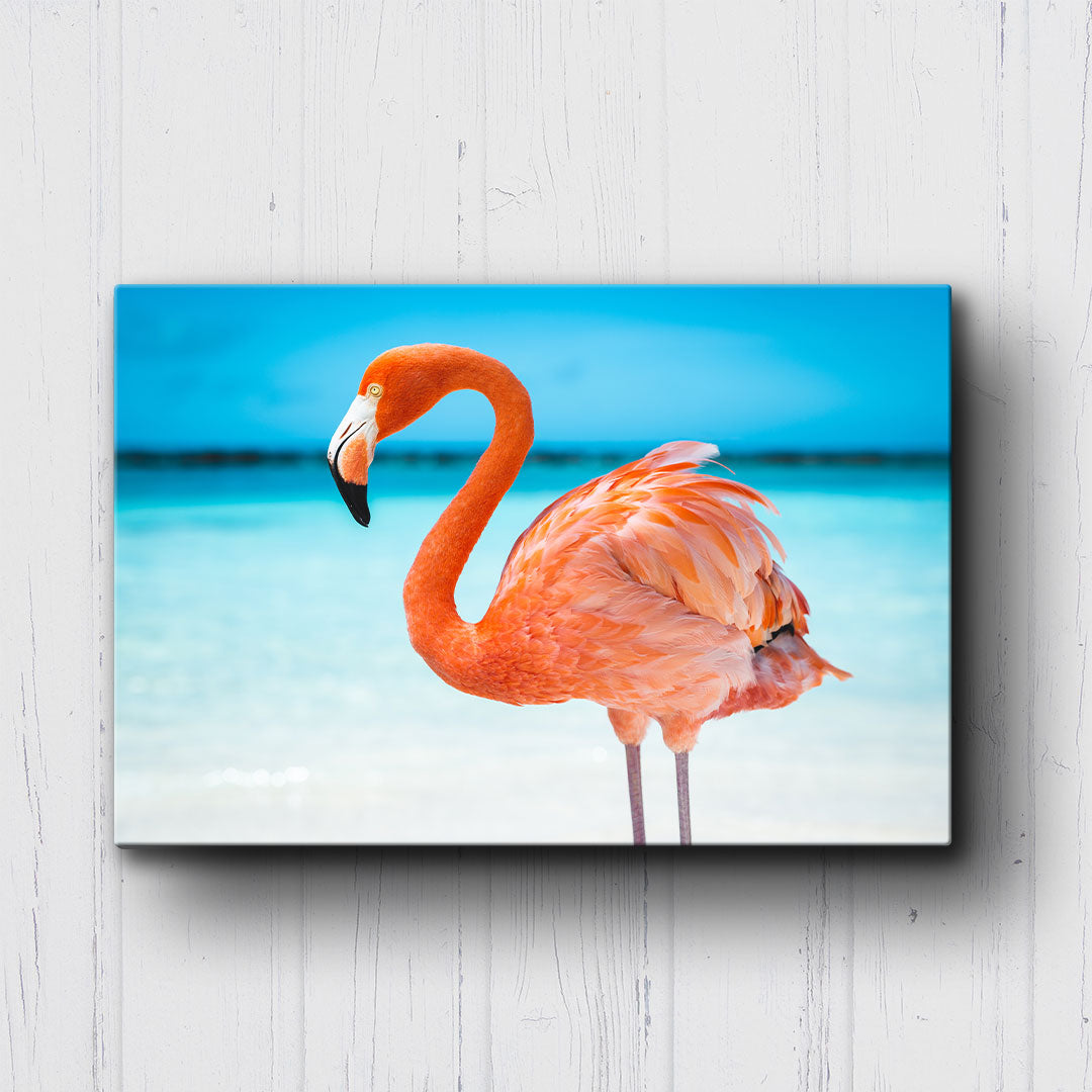 Flamingo On The Beach Canvas Sets