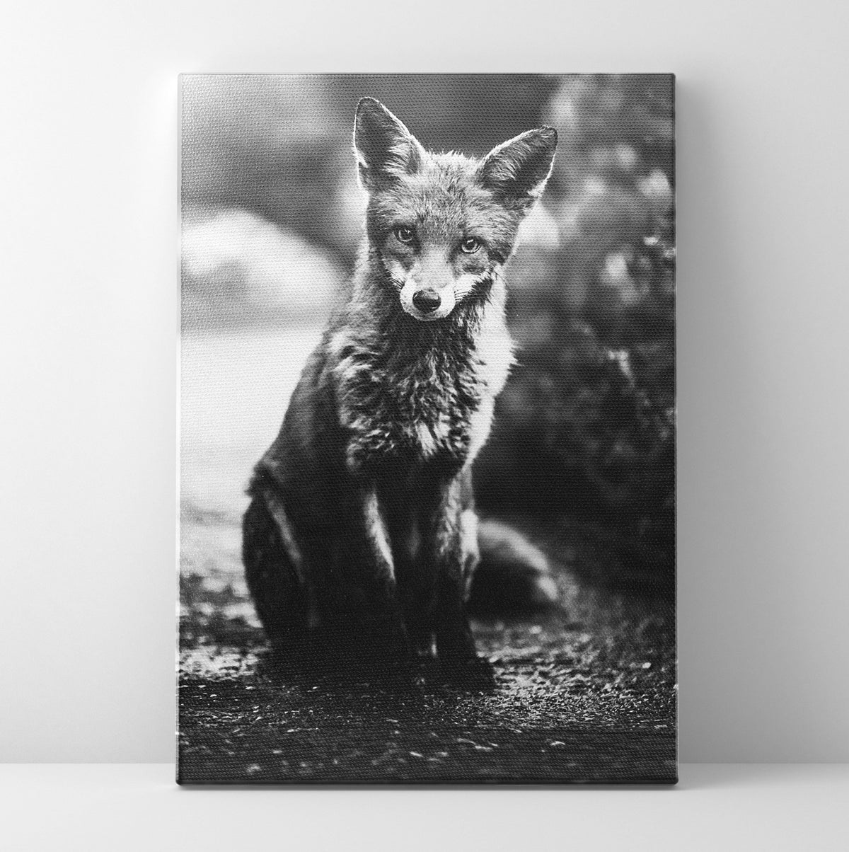 B/W Fox Prints | Far Out Art 