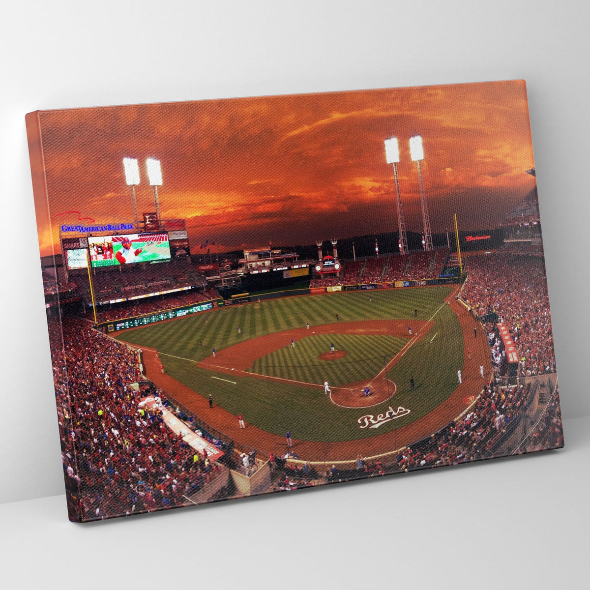 Great America Ball Park Poster/Canvas | Far Out Art 