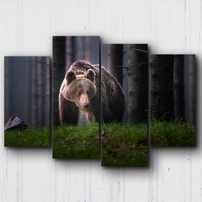 Grizzly Canvas Sets